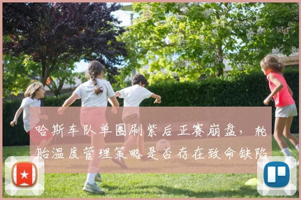 哈斯车队单圈刷紫后正赛崩盘,轮胎温度管理策略是否存在致命缺陷?